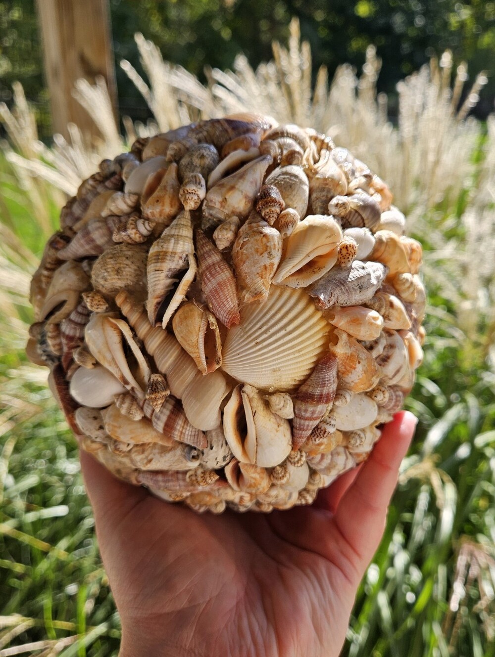 Seashell Orb